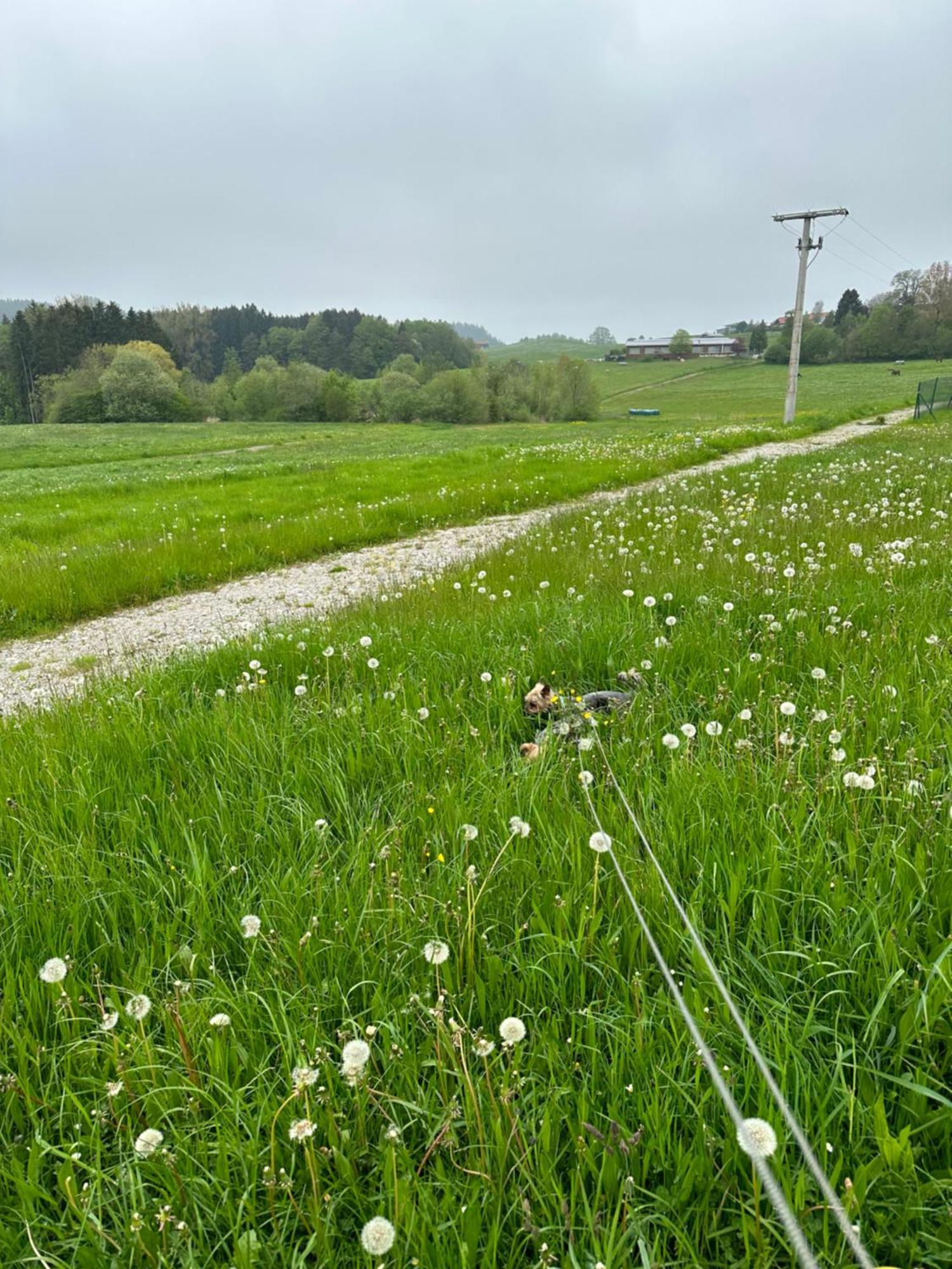 Ferienwohnung Am Jacobsweg Hohenpeißenberg المظهر الخارجي الصورة